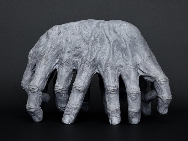 Arthropode éléphant